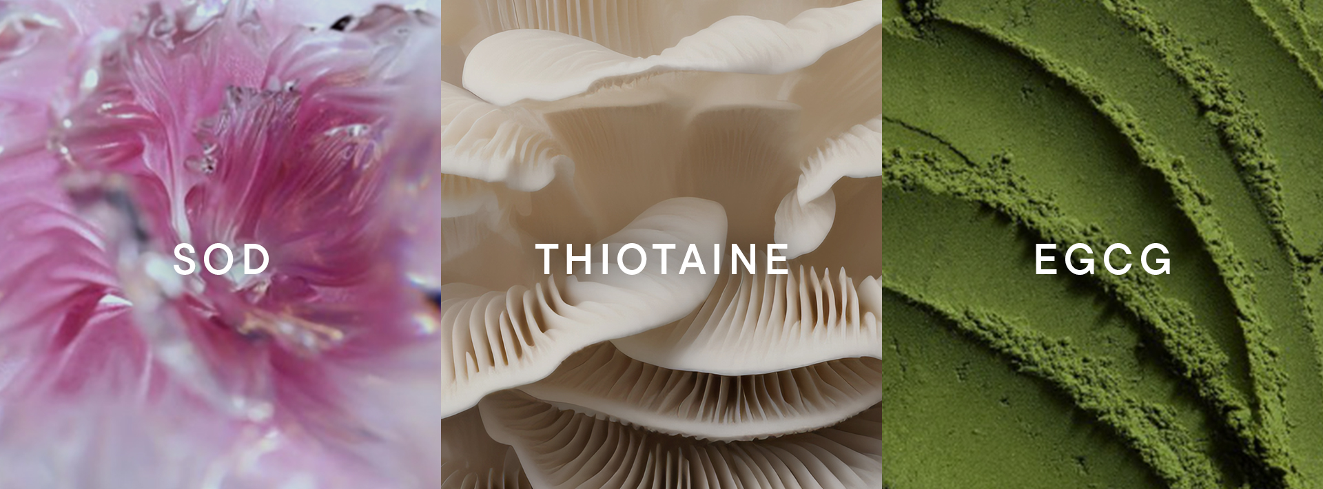 <span style="display:inline-block;"></span>