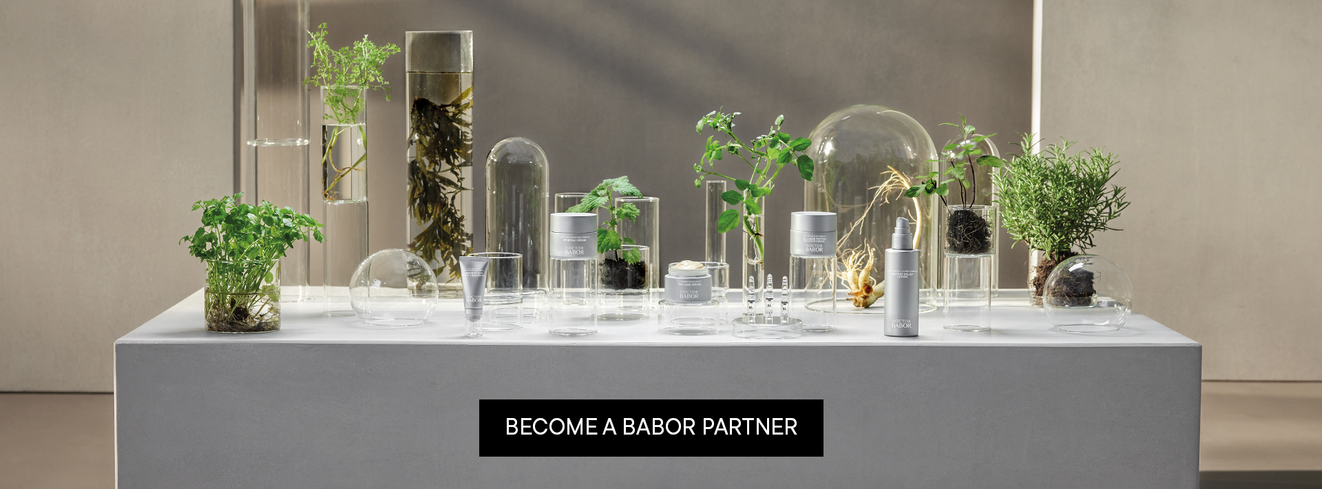 <span style="display:inline-block;"></span>