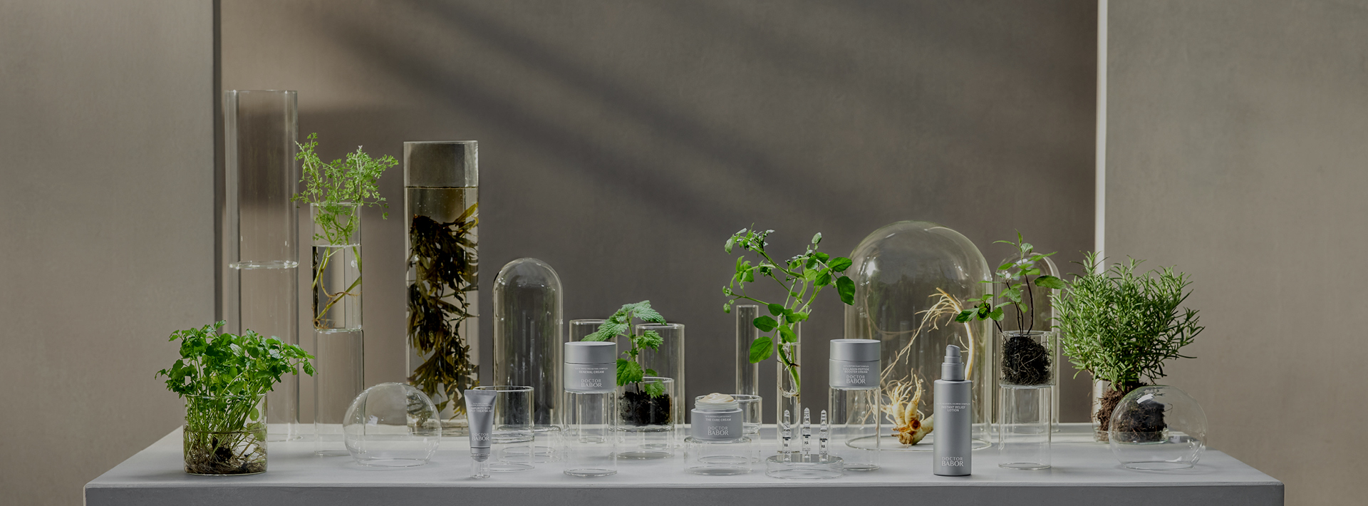 <span style="display:inline-block;">NEW DOCTOR BABOR</span>