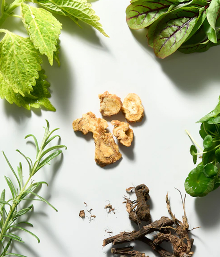 <span style="display:inline-block;"></span>