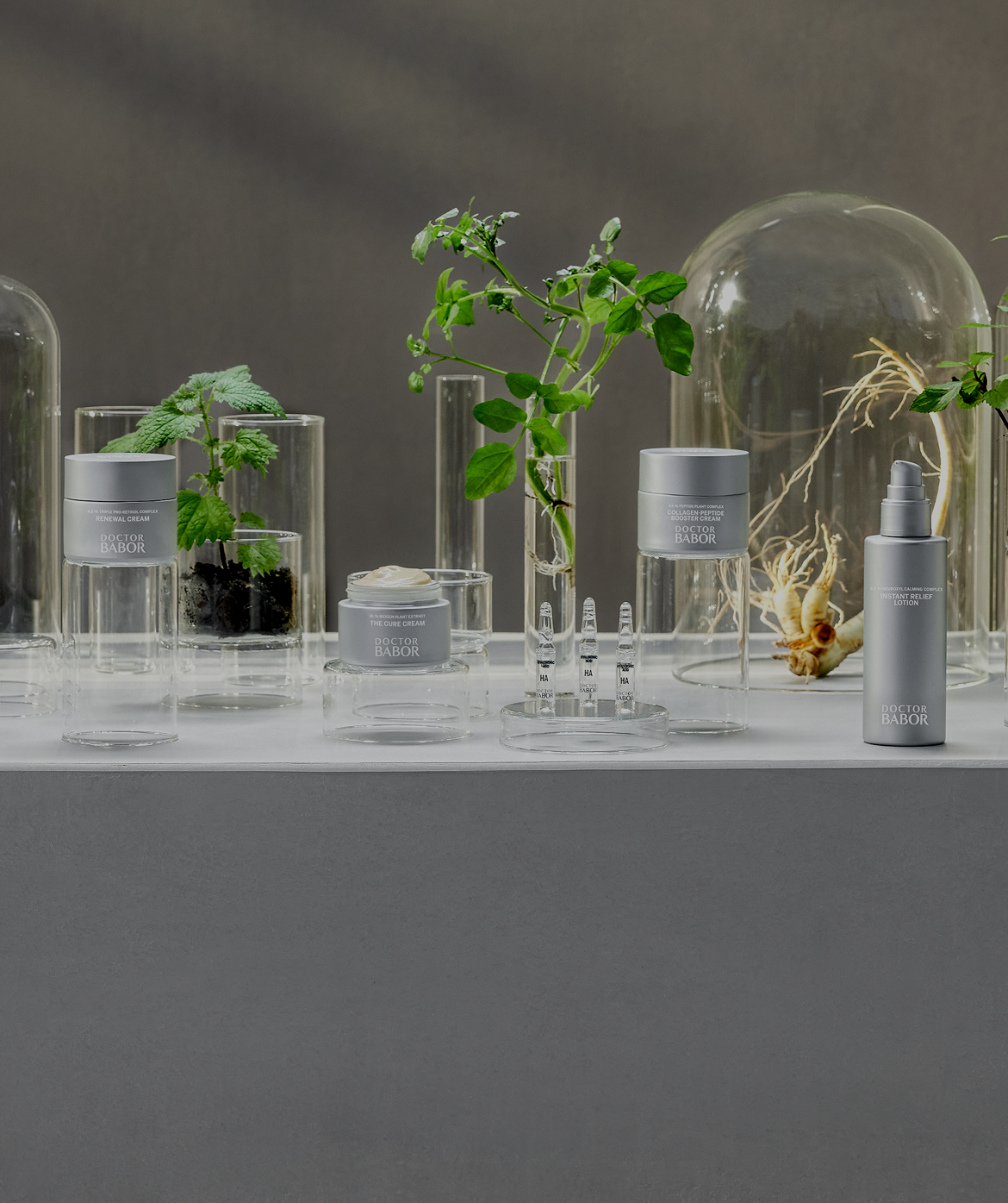 <span style="display:inline-block;">NEW DOCTOR BABOR</span>