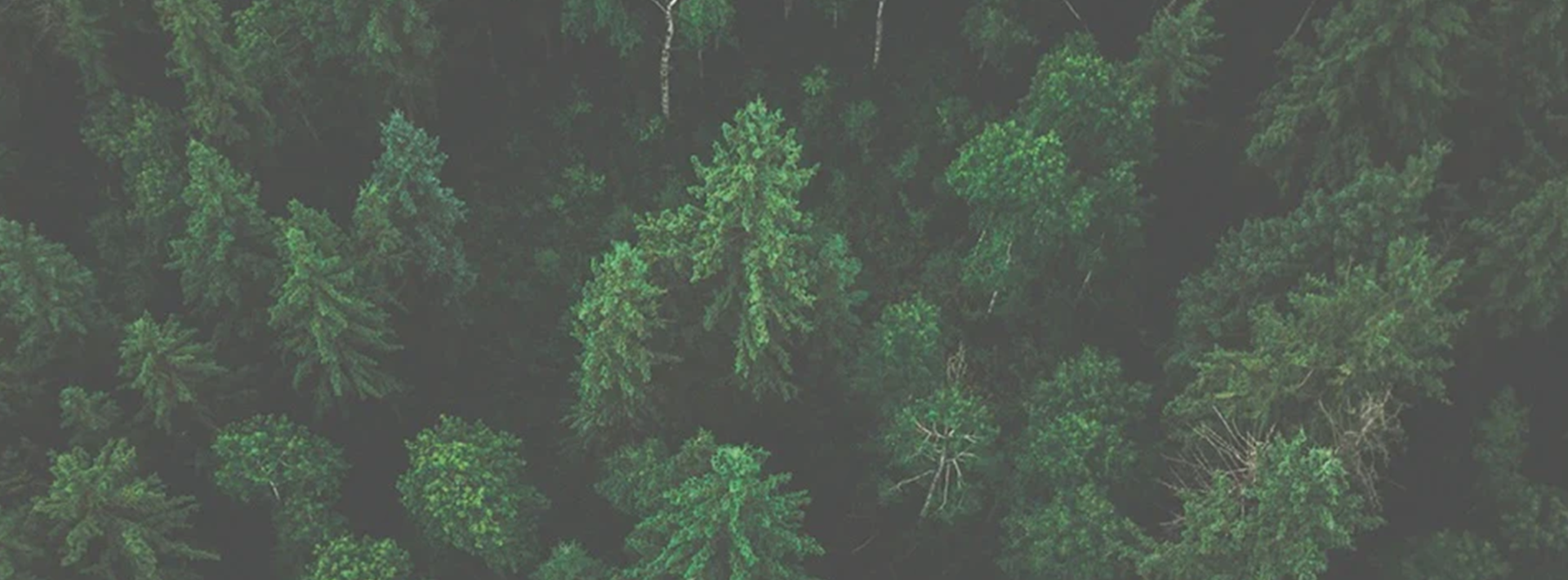 <span style="display:inline-block;">SKINCARE THAT NURTURES</span>