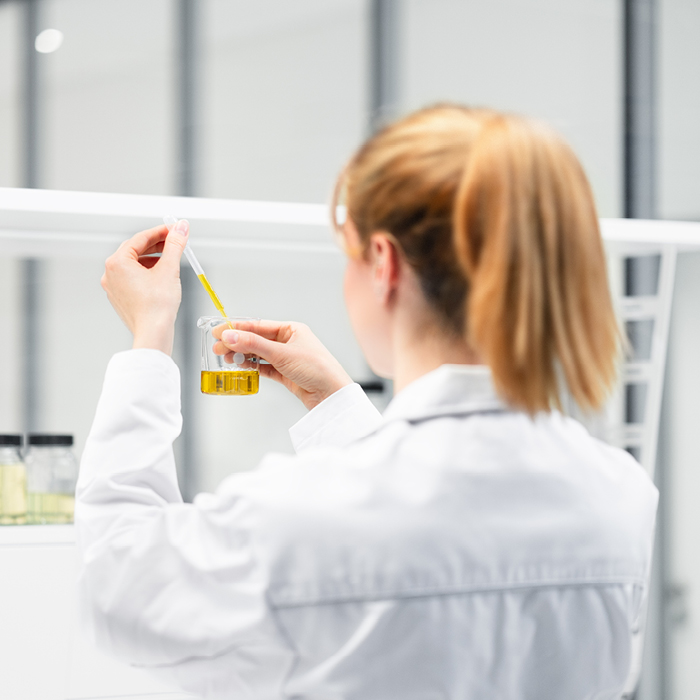 Laborantin im weißen Kittel pipettiert eine gelbe Flüssigkeit in ein Becherglas in einem modernen Labor.