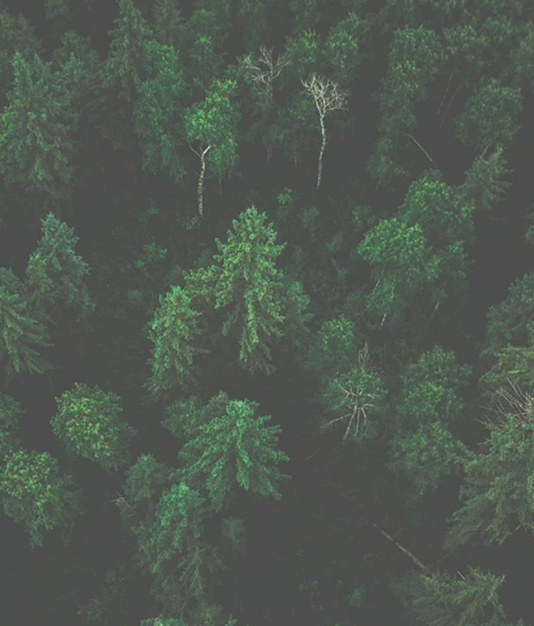 <span style="display:inline-block;">SKINCARE THAT NURTURES</span>