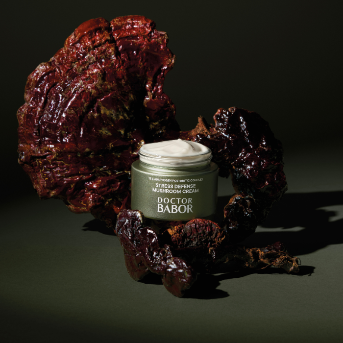 Microbiomic Stress Defense Mushroom Cream