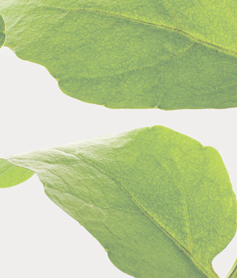 <span style="display:inline-block;">CARBON &amp; BEYOND</span>