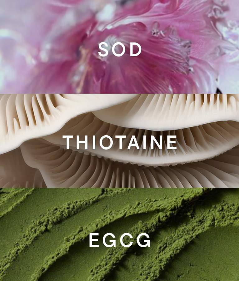 <span style="display:inline-block;"></span>