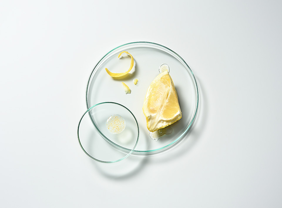 Zitrone aufgeschnitten auf Petrischale