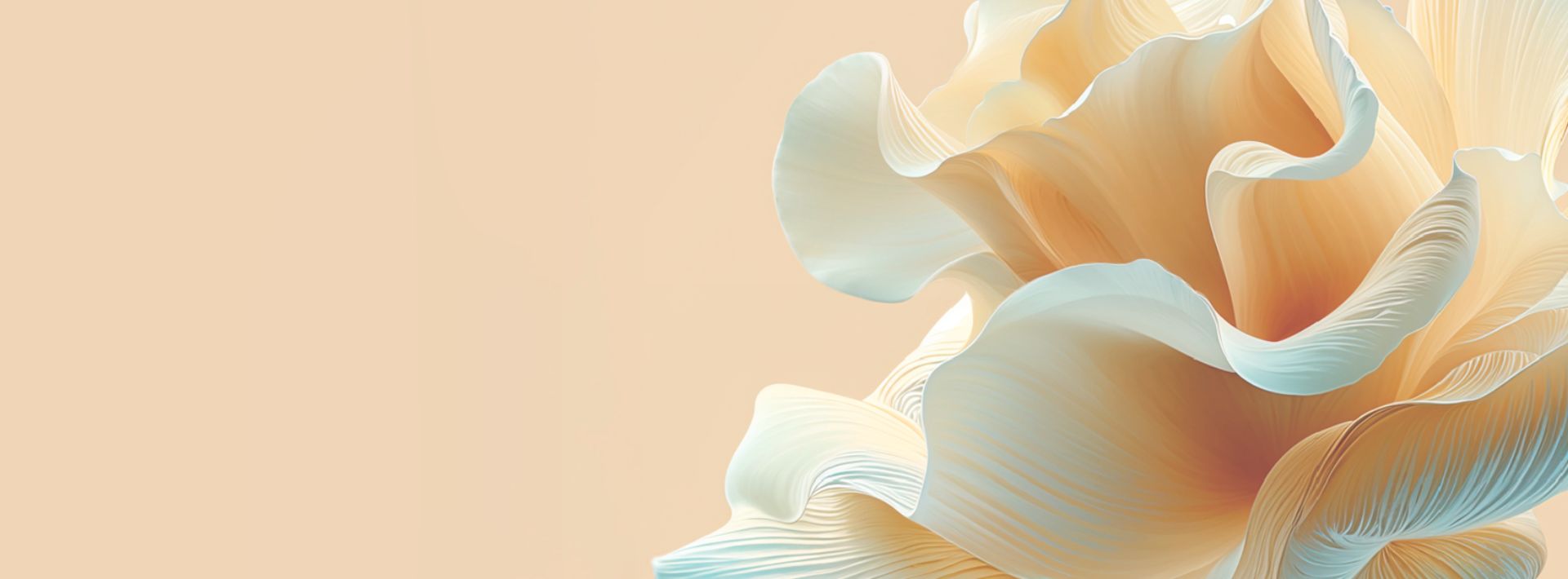 <span style="display:inline-block;">-15% z kodem &amp; upominki</span>