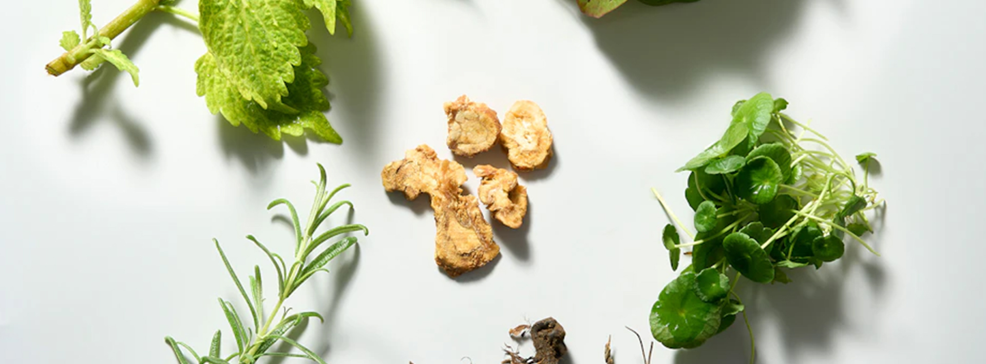 <span style="display:inline-block;"></span>